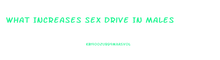 What Increases Sex Drive In Males