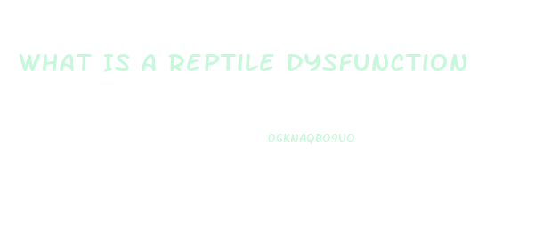 What Is A Reptile Dysfunction