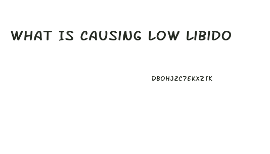 What Is Causing Low Libido