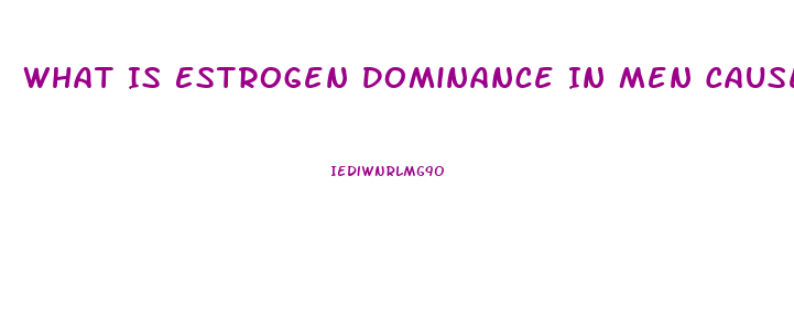 What Is Estrogen Dominance In Men Cause Impotence