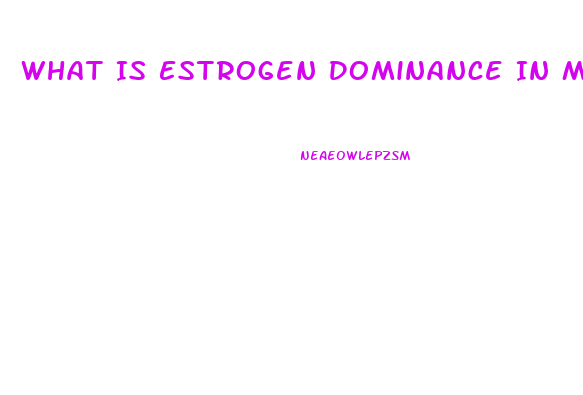 What Is Estrogen Dominance In Men Cause Impotence