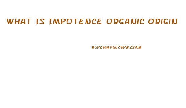 What Is Impotence Organic Origin