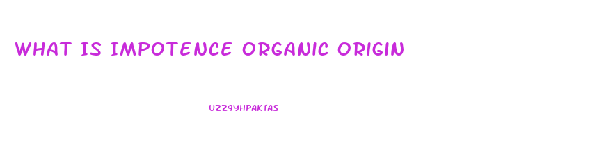 What Is Impotence Organic Origin