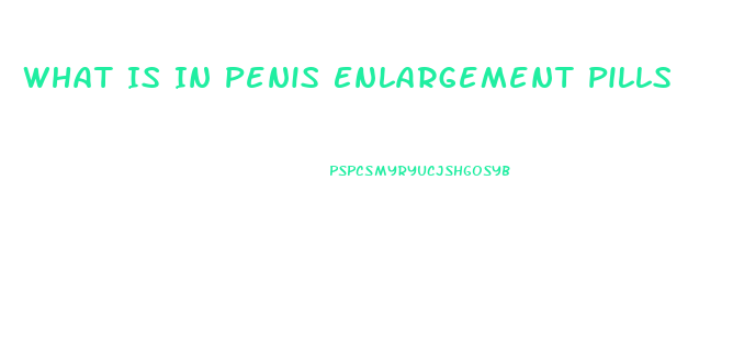 What Is In Penis Enlargement Pills