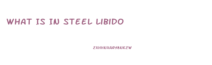 What Is In Steel Libido