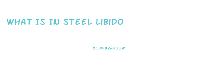 What Is In Steel Libido