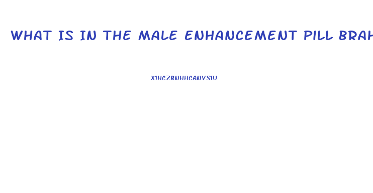 What Is In The Male Enhancement Pill Brahma