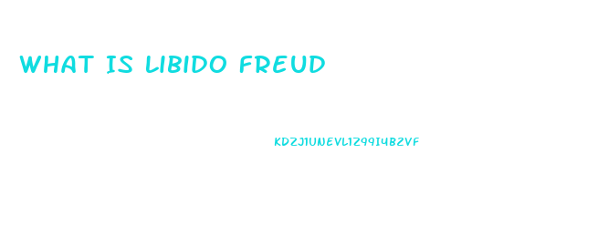 What Is Libido Freud