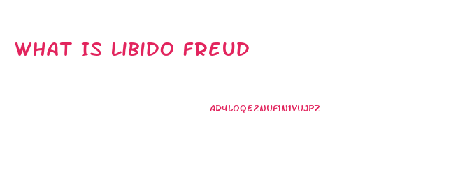 What Is Libido Freud