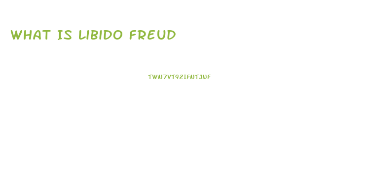 What Is Libido Freud