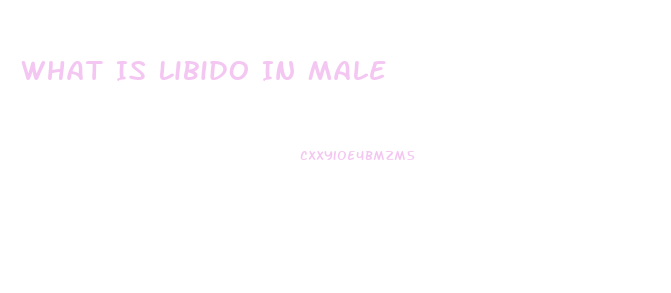What Is Libido In Male