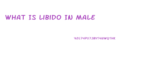 What Is Libido In Male