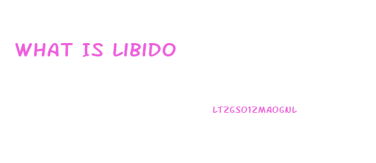 What Is Libido