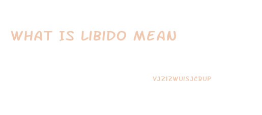 What Is Libido Mean