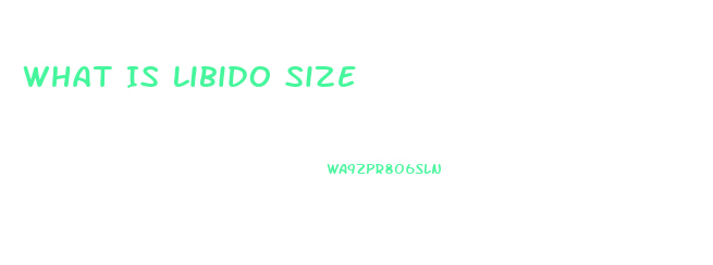What Is Libido Size
