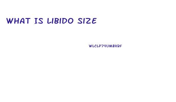 What Is Libido Size