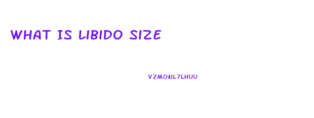 What Is Libido Size