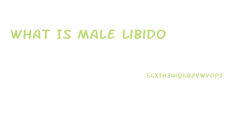 What Is Male Libido