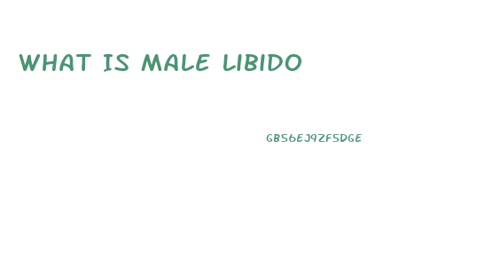 What Is Male Libido