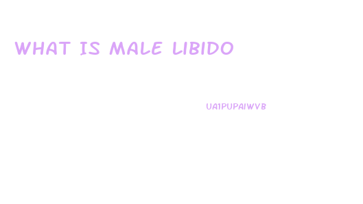 What Is Male Libido