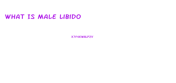 What Is Male Libido