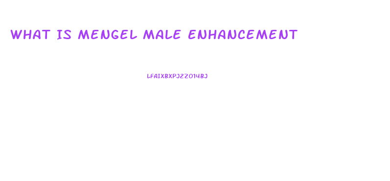 What Is Mengel Male Enhancement