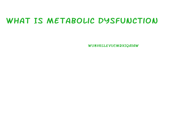What Is Metabolic Dysfunction