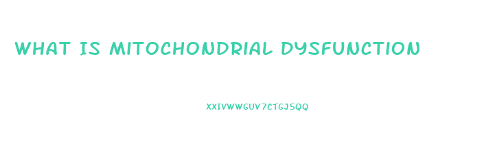 What Is Mitochondrial Dysfunction