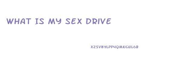 What Is My Sex Drive