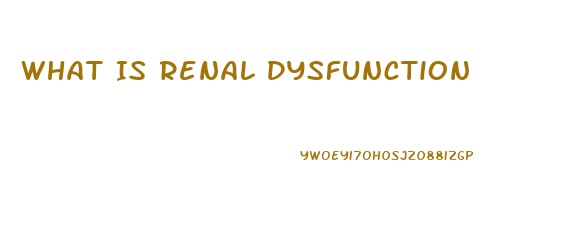 What Is Renal Dysfunction