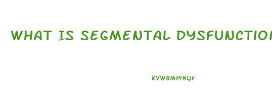 What Is Segmental Dysfunction