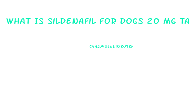 What Is Sildenafil For Dogs 20 Mg Tablets