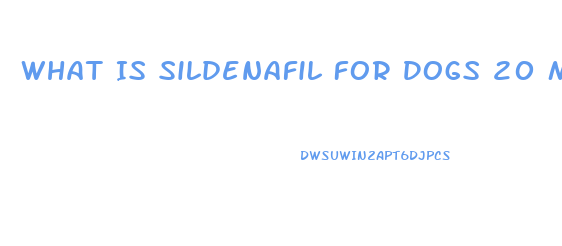 What Is Sildenafil For Dogs 20 Mg Tablets