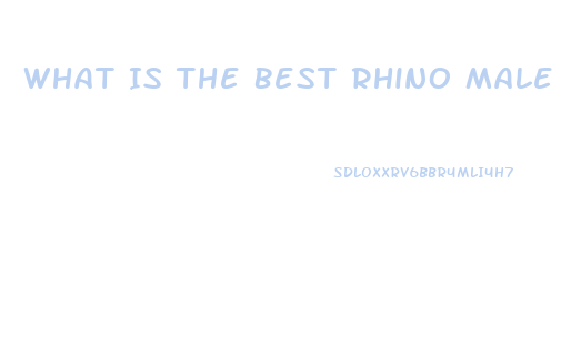 What Is The Best Rhino Male Enhancement Pill