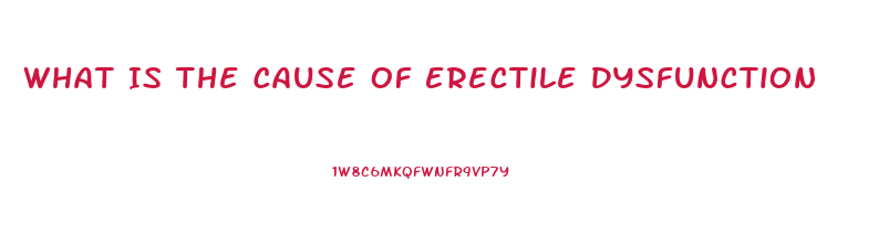 What Is The Cause Of Erectile Dysfunction