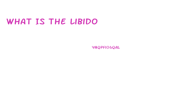 What Is The Libido