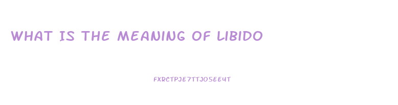 What Is The Meaning Of Libido