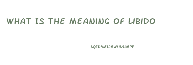 What Is The Meaning Of Libido