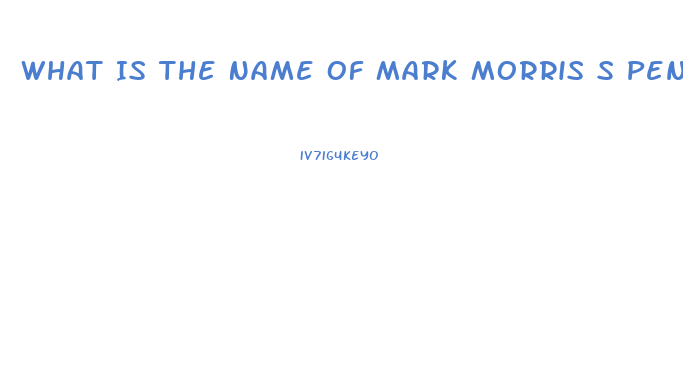 What Is The Name Of Mark Morris S Penis Enlargement Program