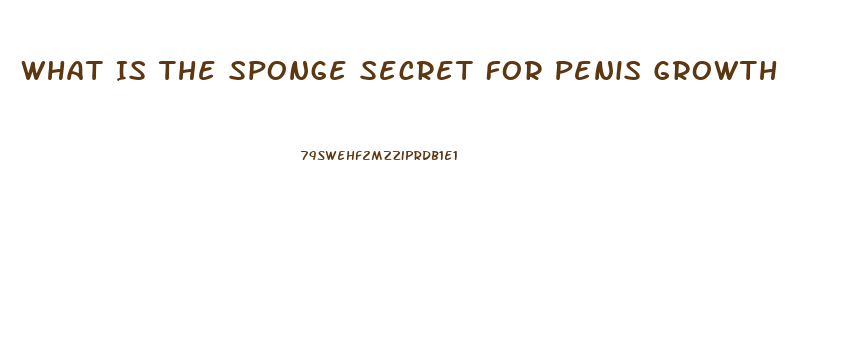 What Is The Sponge Secret For Penis Growth