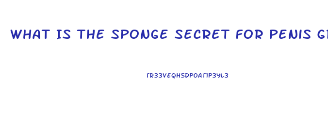 What Is The Sponge Secret For Penis Growth