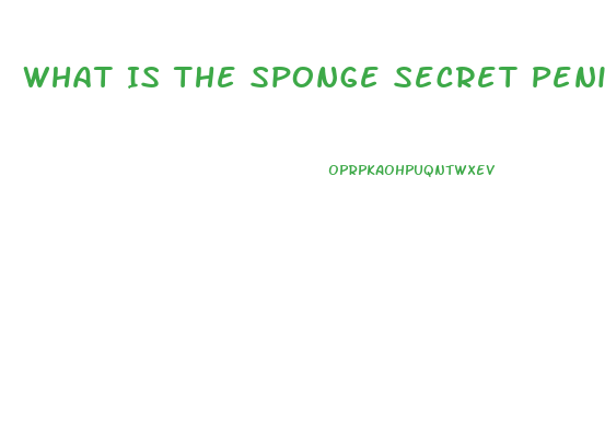 What Is The Sponge Secret Penis Growth