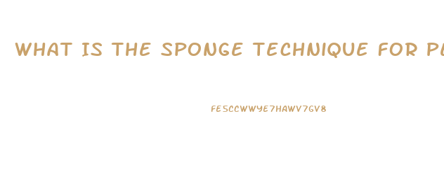 What Is The Sponge Technique For Penis Growth