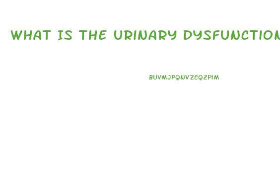 What Is The Urinary Dysfunction Associated With Cauda Equina Syndrome