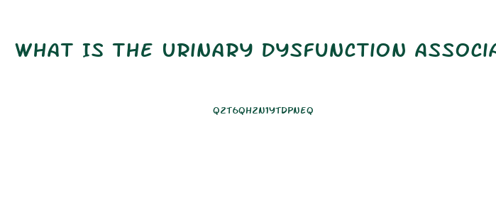 What Is The Urinary Dysfunction Associated With Cauda Equina Syndrome