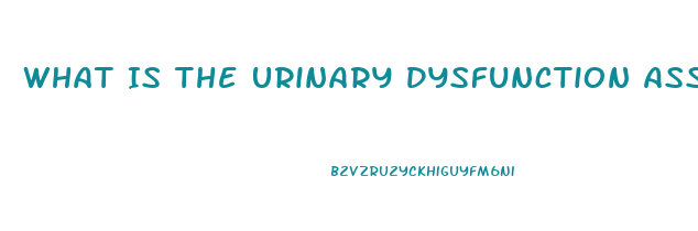 What Is The Urinary Dysfunction Associated With Cauda Equina Syndrome