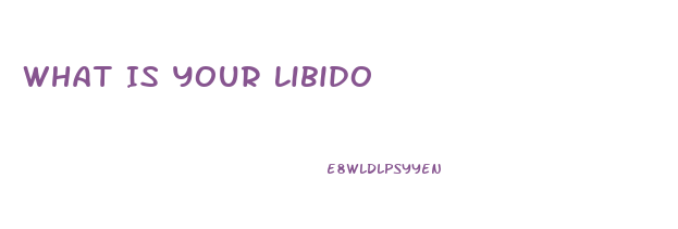 What Is Your Libido