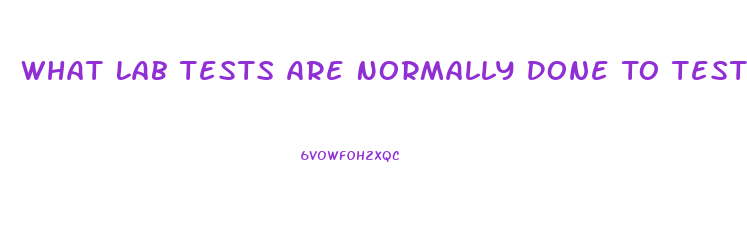 What Lab Tests Are Normally Done To Test For Erectile Dysfunction