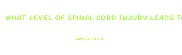 What Level Of Spinal Cord Injury Leads To Erectile Dysfunction