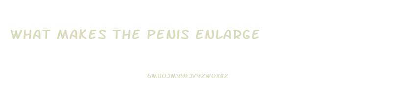 What Makes The Penis Enlarge